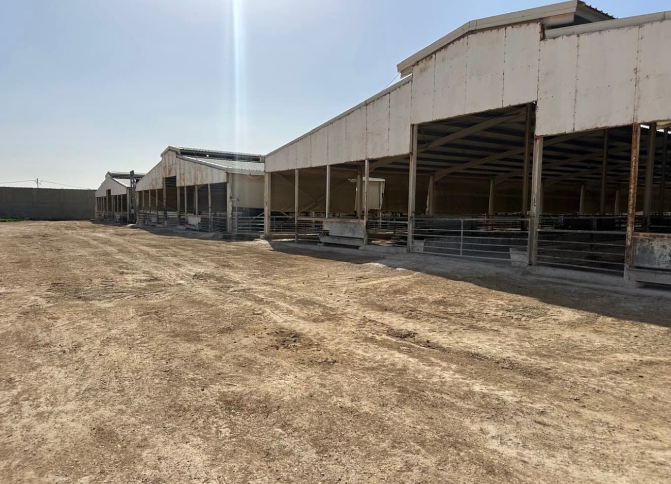 Deserted, open-sided farm buildings with metal roofs and dirt ground under a harsh, sunny sky.