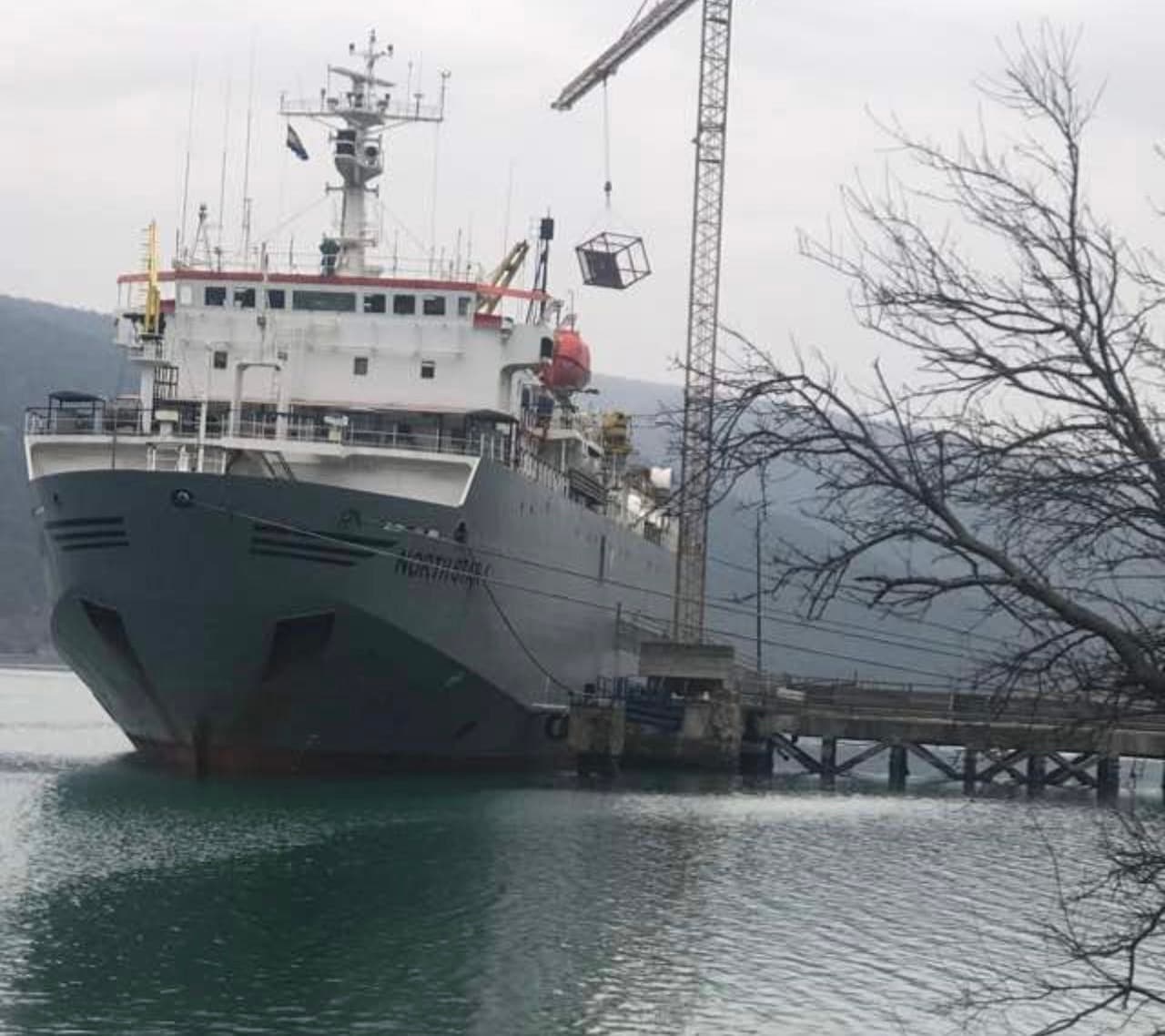 Gray cargo ship docked at pier, crane lifting a metal cage, bare tree branches.